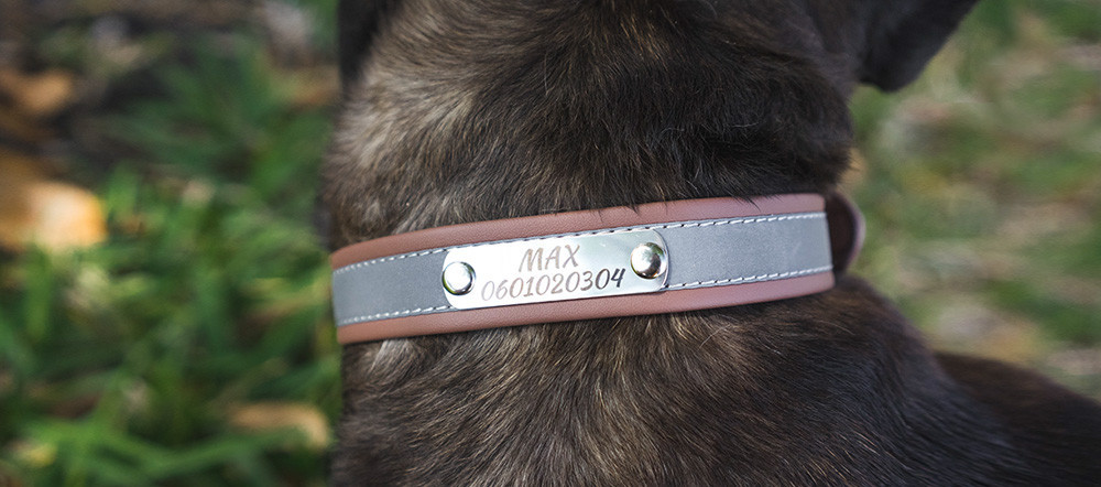 Personligt hundhalsband - Reflekterande