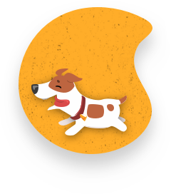Hundhalsbandnamn.se