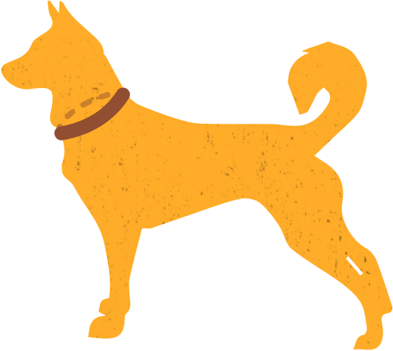 Storleksguide